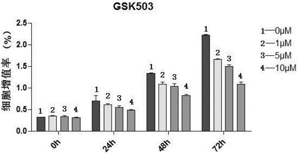 Application of GSK503 in preparing drug for treating RB (Retinoblastoma)