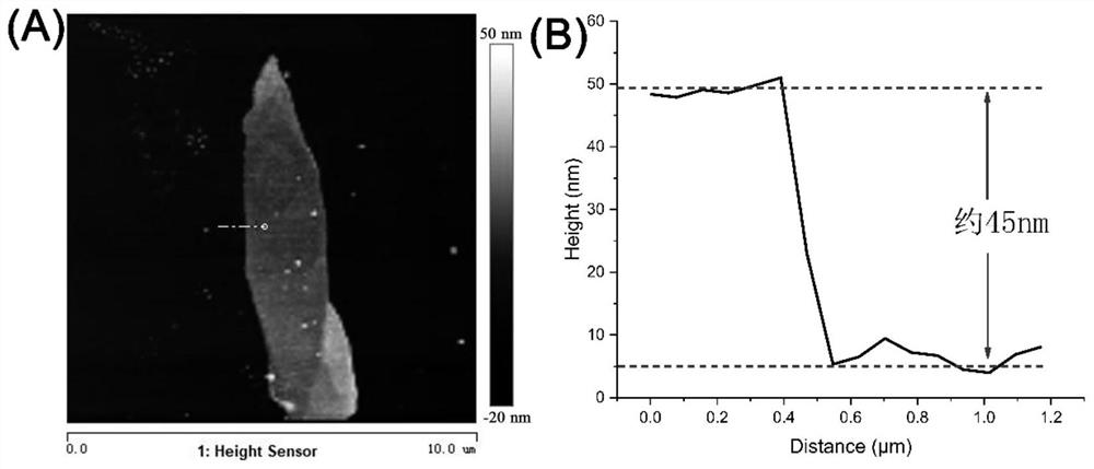 A kind of electrochromic glass based on molybdenum trioxide film, its preparation method and application