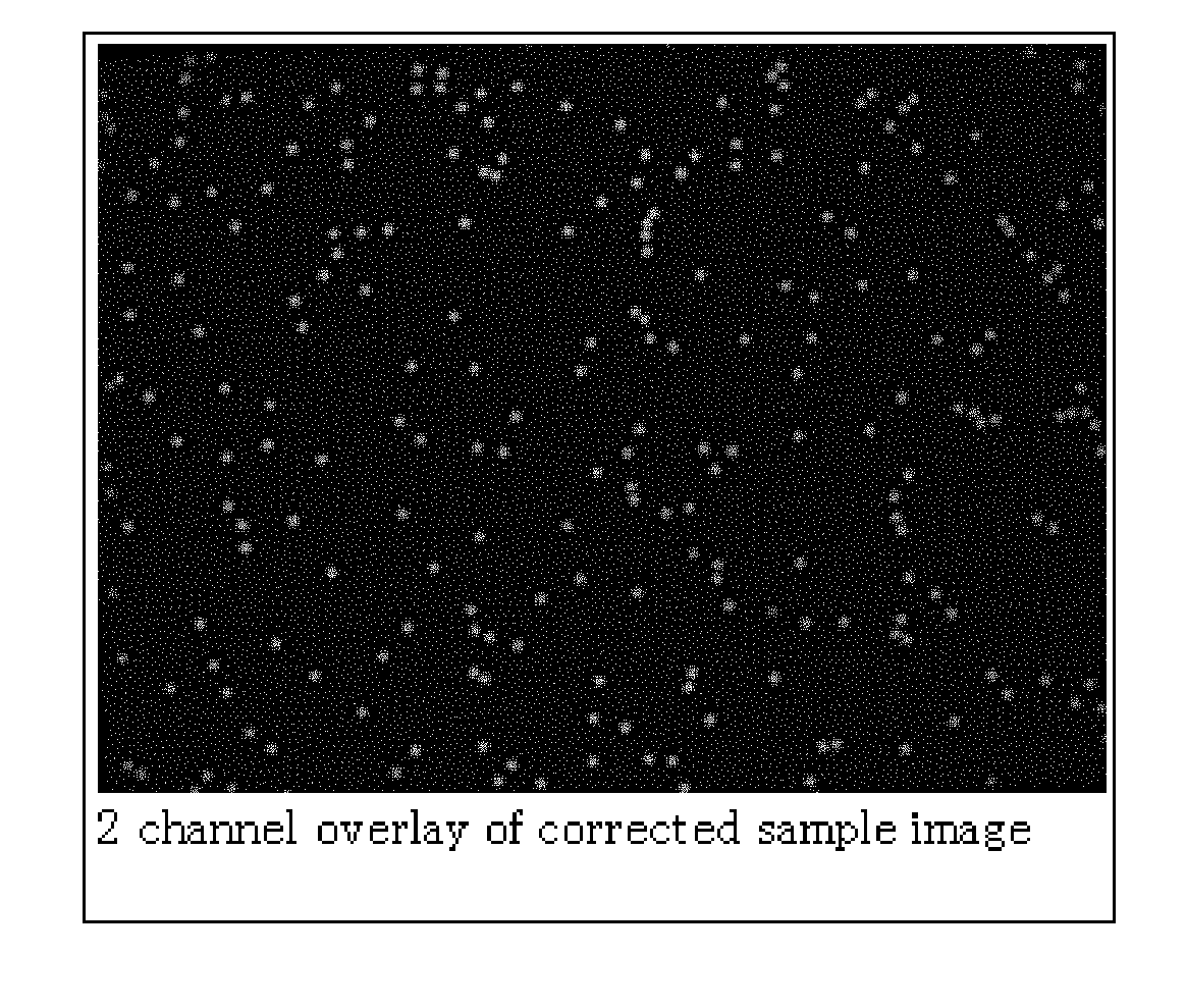 Method and system for image correction using a quasiperiodic grid