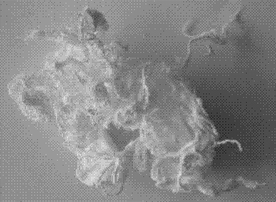 Production method for extracting and purifying hyaluronic acid