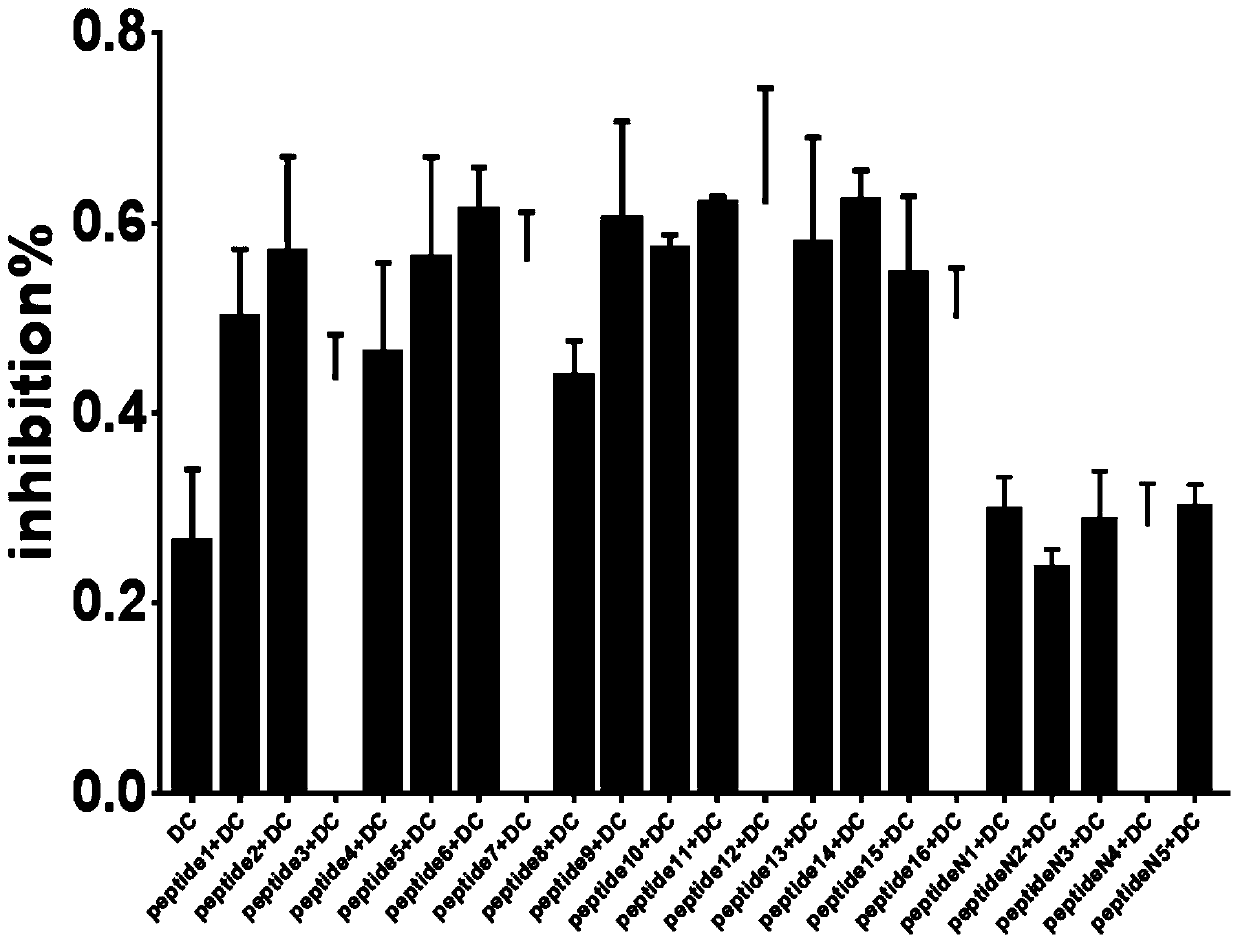 Chlamydiae-related antigen short chain polypeptide and application thereof