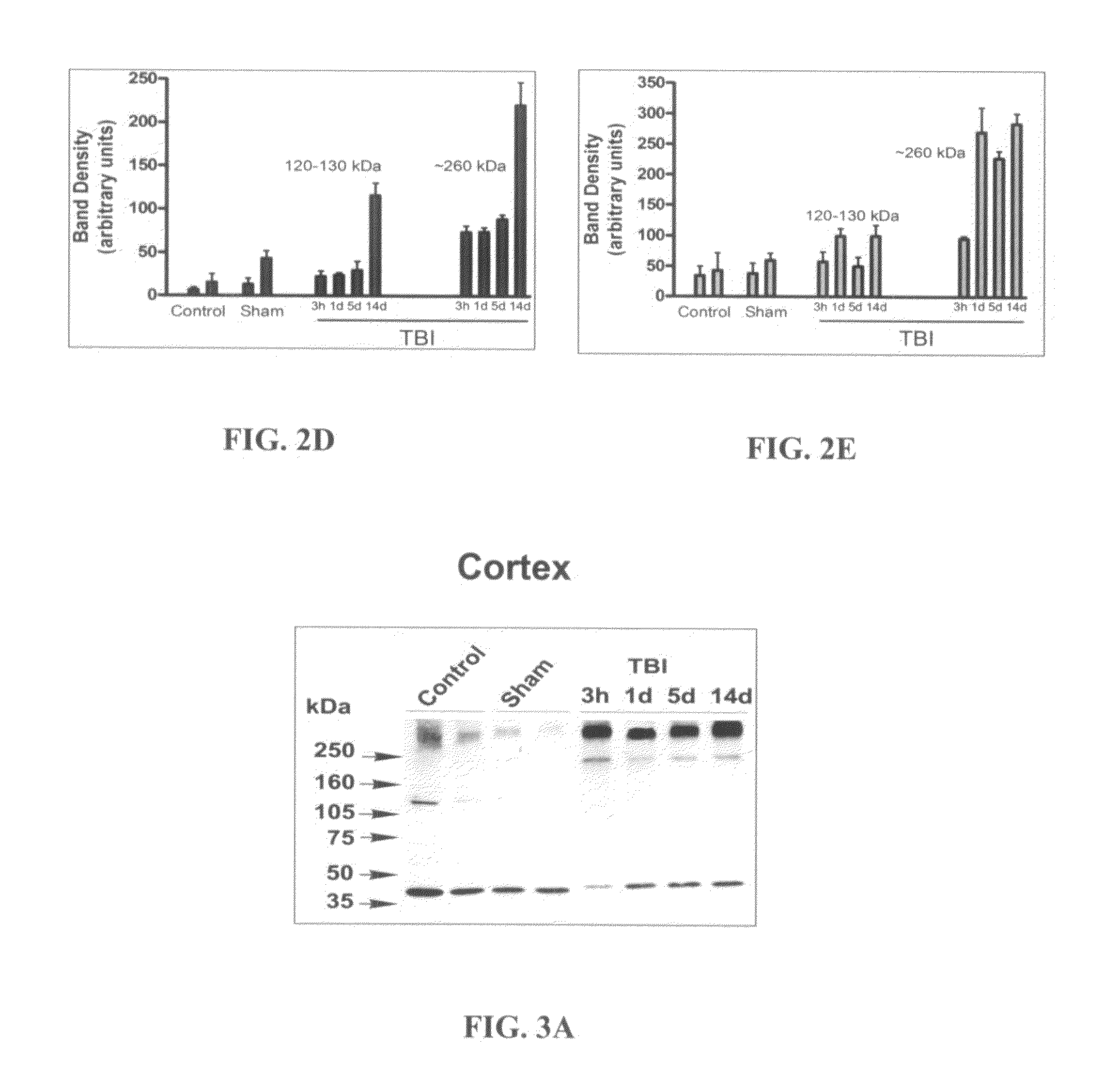 Detection of cannabinoid receptor biomarkers and uses thereof