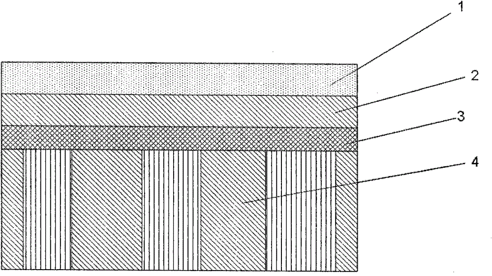 Passivation layer and its manufacturing method