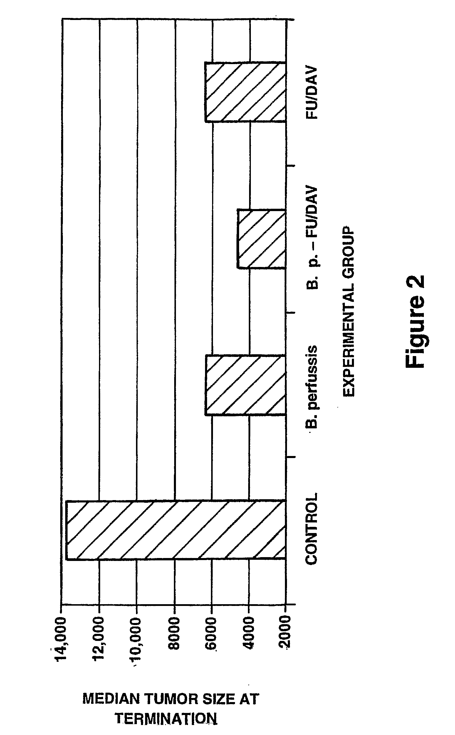 Compositions and Methods for the Enhancement of Chemotherapy with Microbial Cytotoxins