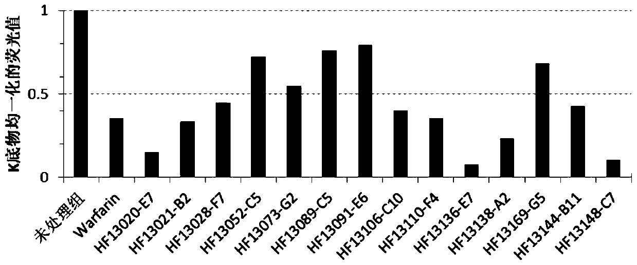 Screening method and application of small molecular compound for targeted inhibition of vitamin K epoxide reductase