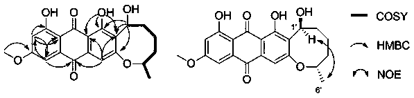 Anthraquinone compounds derived from Aspergillus versicolor and application of anti-human esophageal cancer drugs