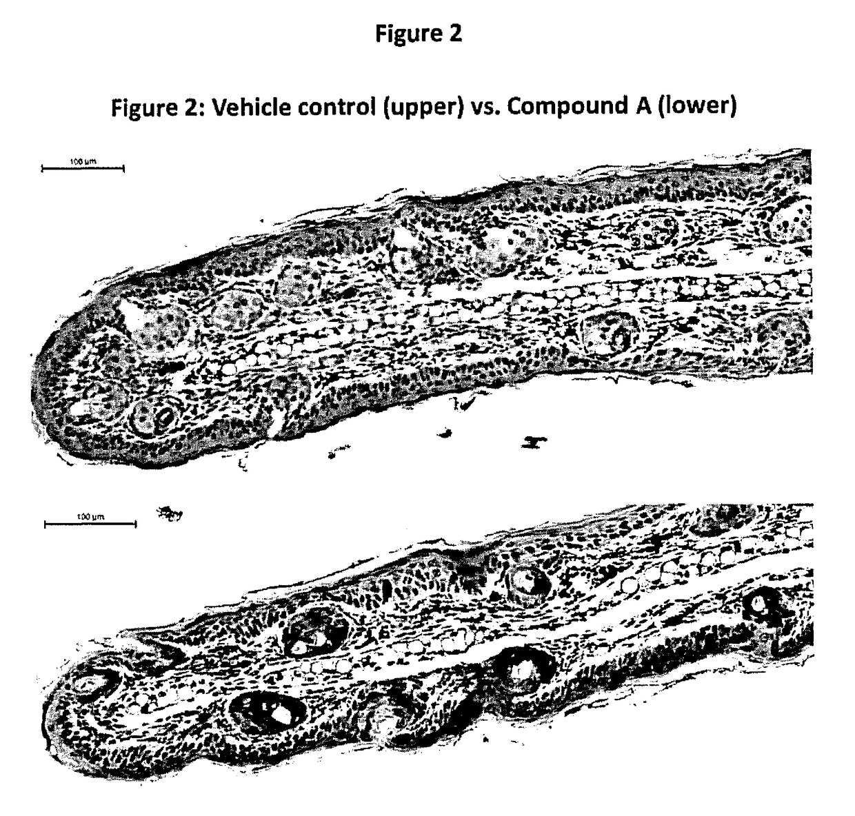 Beta-naphthoisoflavones, compositions containing, and uses of, same