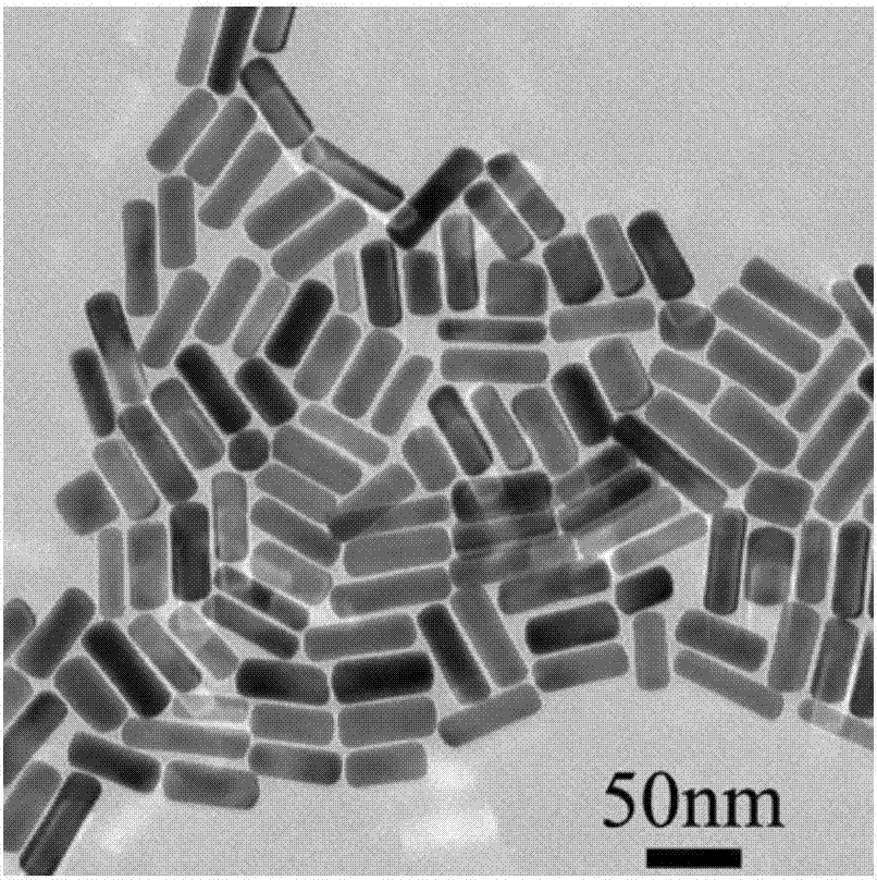 Preparation method of gold nanocluster fluorescent system based on surface plasmon enhancement