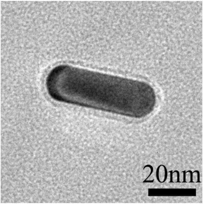 Preparation method of gold nanocluster fluorescent system based on surface plasmon enhancement