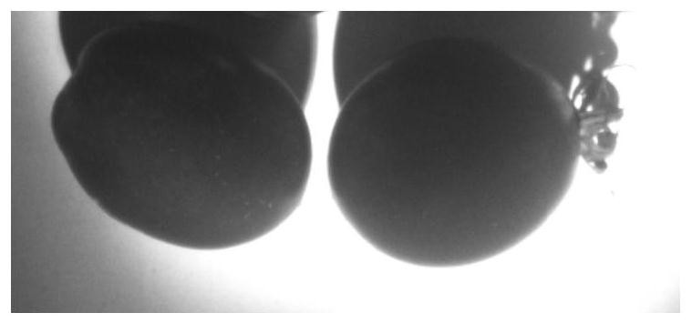 Method and device capable of eliminating glare on surfaces of high-reflection fruits and vegetables