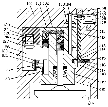 Novel functional bio-fertilizer