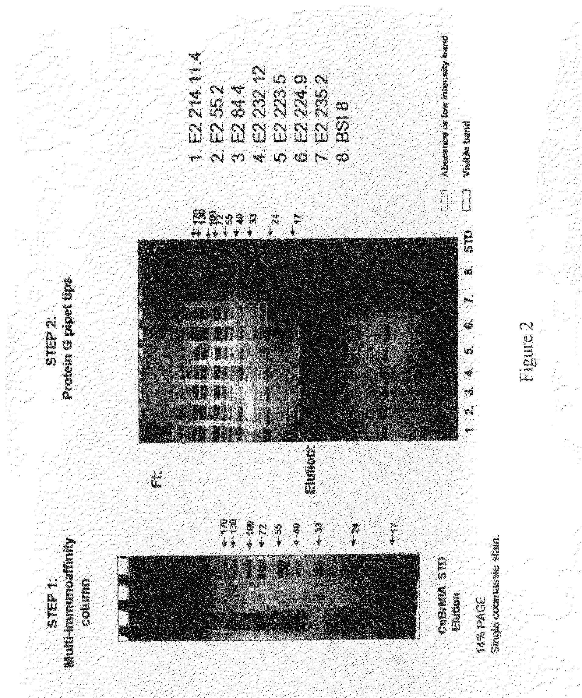 Multi-immunoaffinity based antigen identification