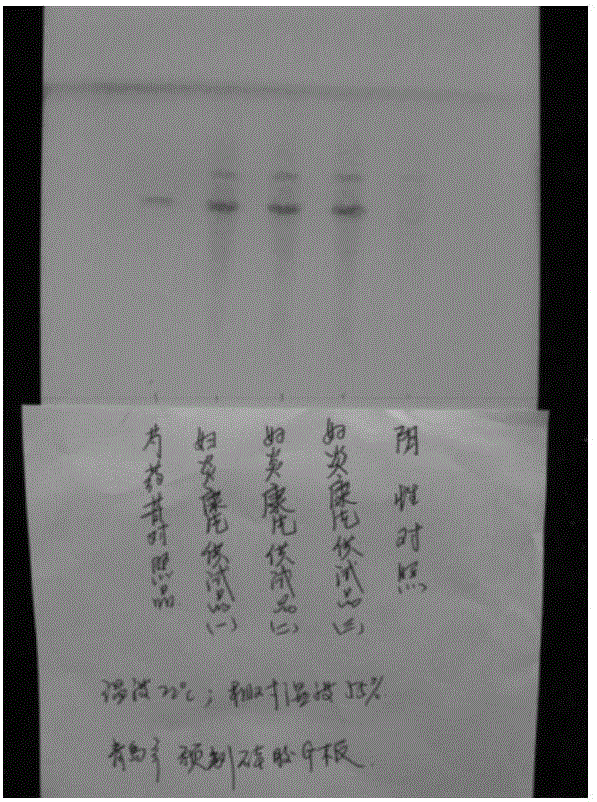 Detecting method of fuyankang tablet