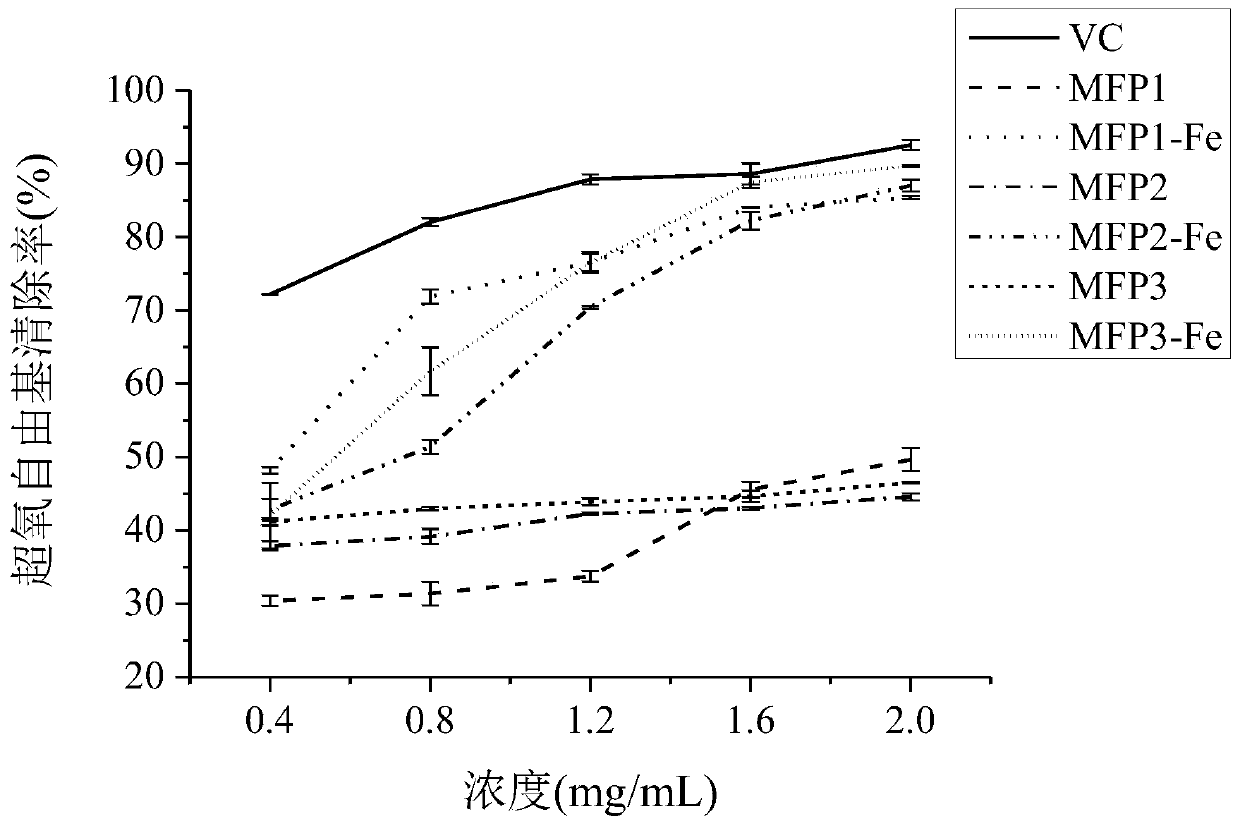 Preparation method of mulberry polysaccharide-iron chelate with anti-oxidation activity