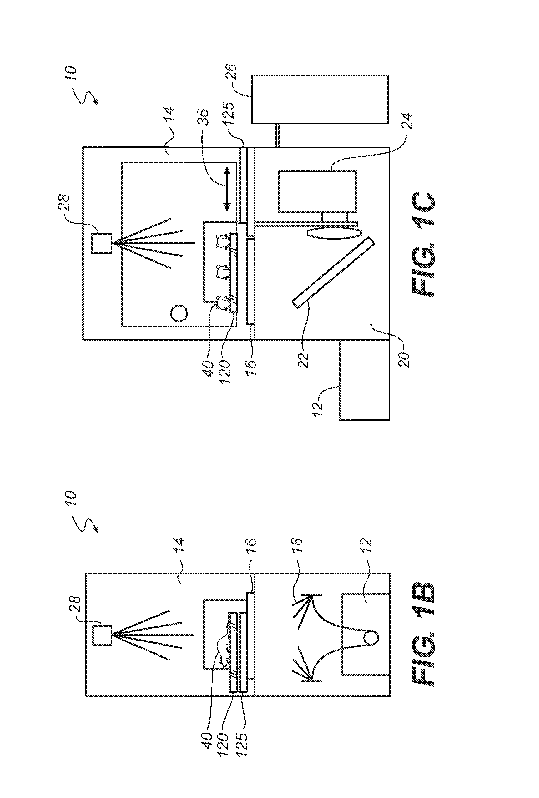 Apparatus and method for multi-modal imaging using multiple x-ray sources