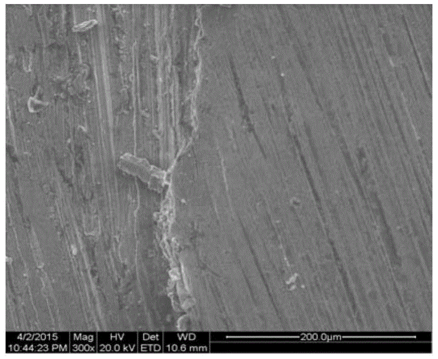 A Reverse Microemulsion for Removing Harmful Chloride Ion in Bronze Wares