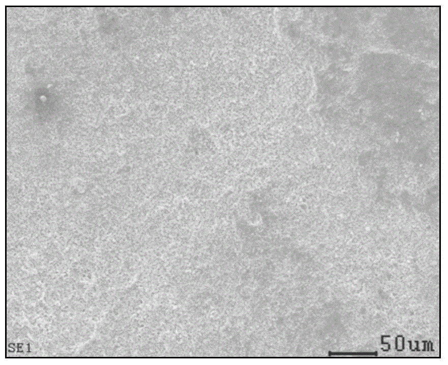 A Reverse Microemulsion for Removing Harmful Chloride Ion in Bronze Wares