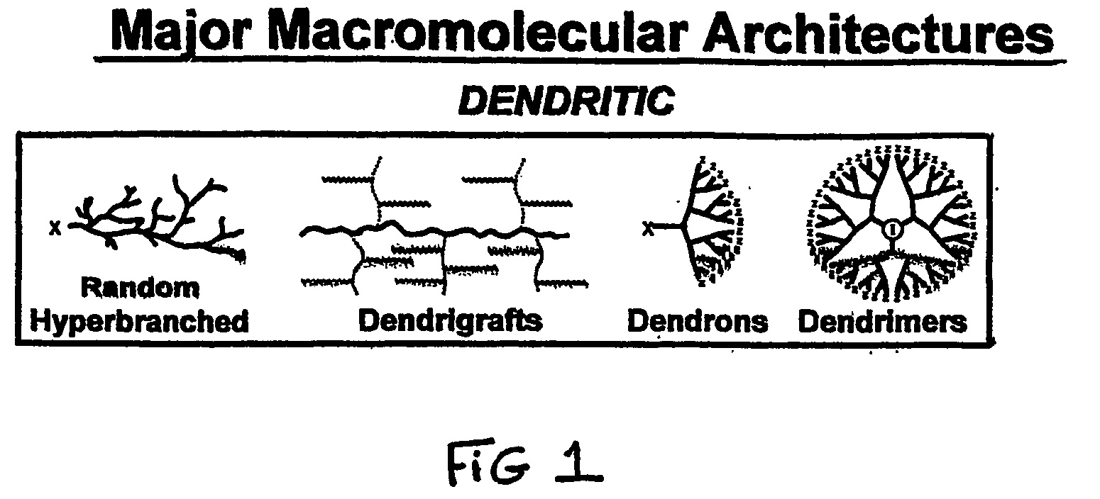 Heterocycle functionalized dendritic polymers