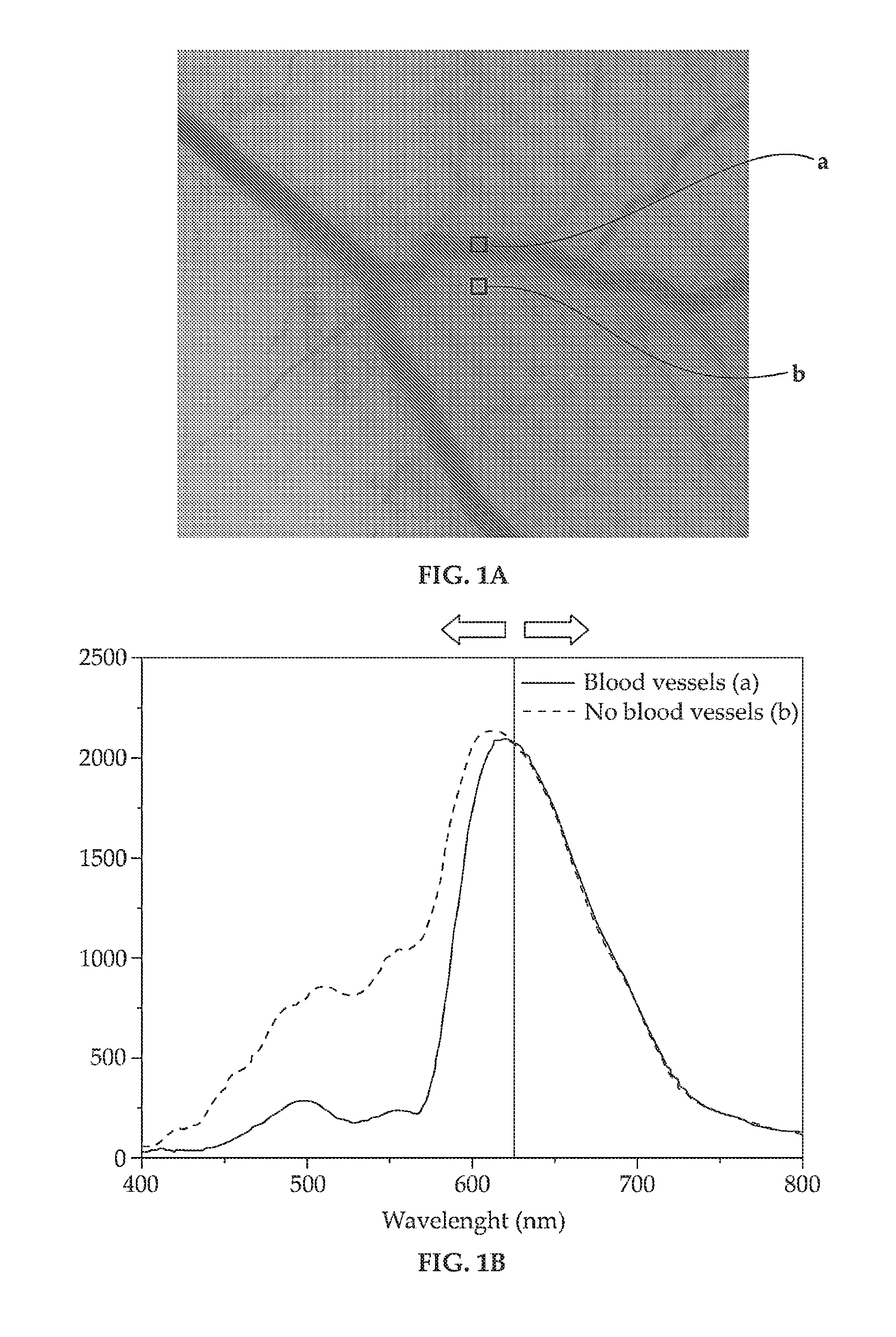 Methods and devices suitable for imaging blood-containing tissue