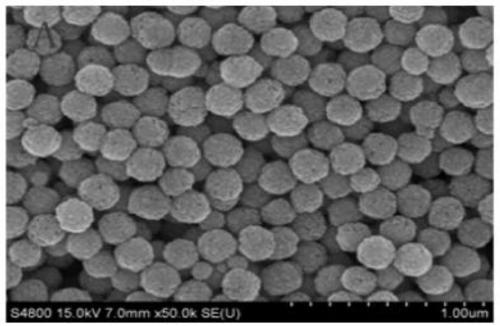 Ferroferric oxide nanoparticles as well as preparation method and application thereof in inhibiting proliferation of Salmonella