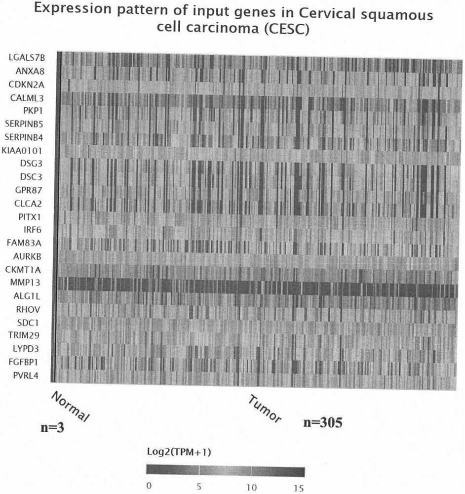 Group of indexes for diagnosing cervical canceration and application