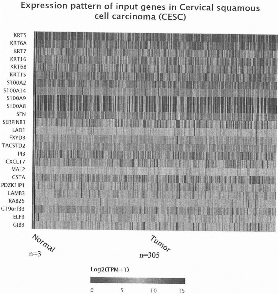 Group of indexes for diagnosing cervical canceration and application