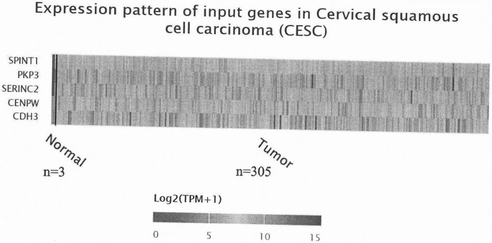 Group of indexes for diagnosing cervical canceration and application