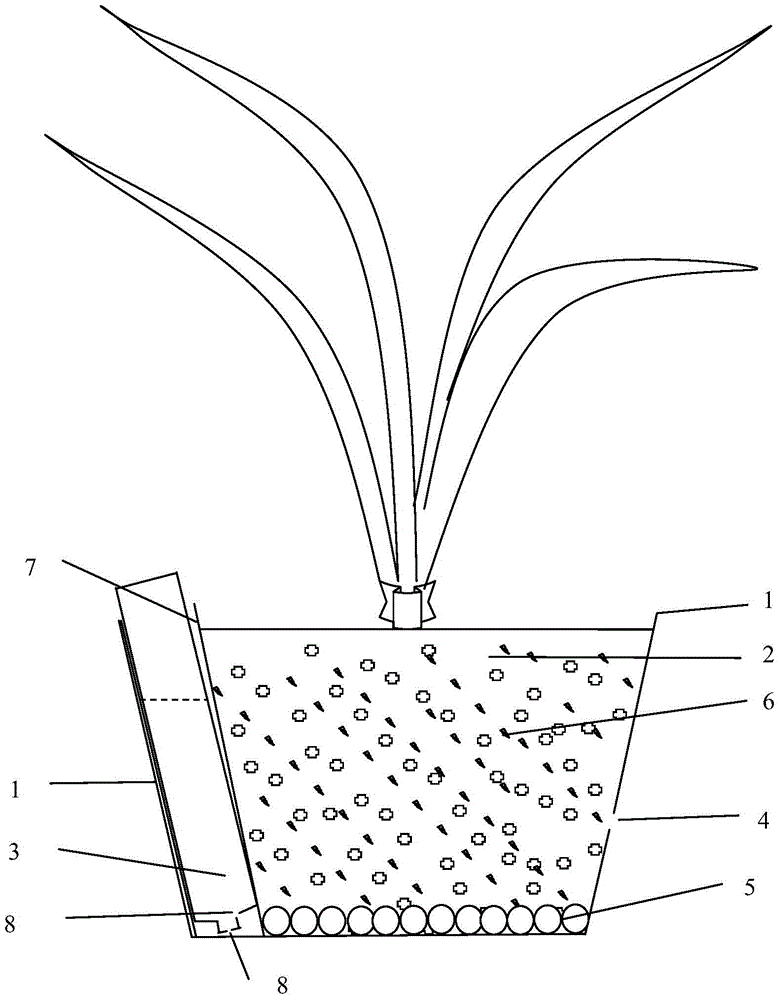 A kind of cultivation method of orchid