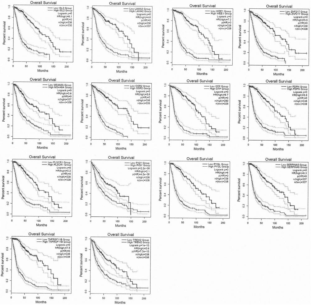 Glioma marker group and application thereof