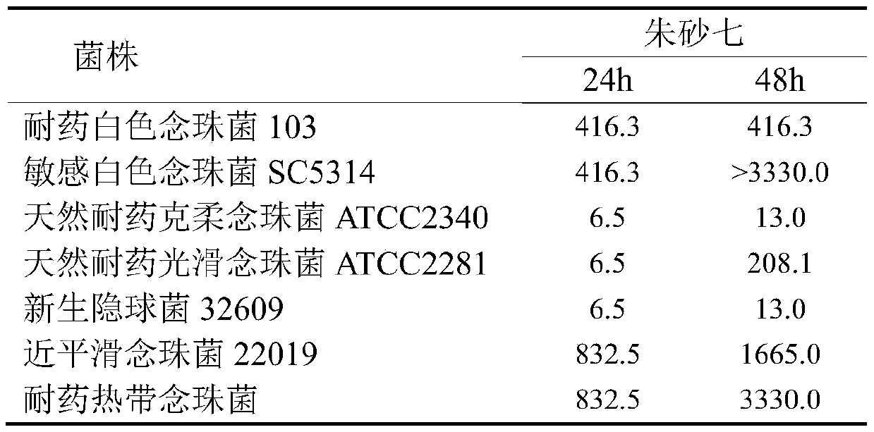 Application of polygonum cillinerve in preparing antifungal drugs and synergist thereof