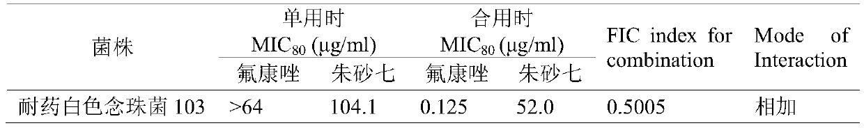 Application of polygonum cillinerve in preparing antifungal drugs and synergist thereof