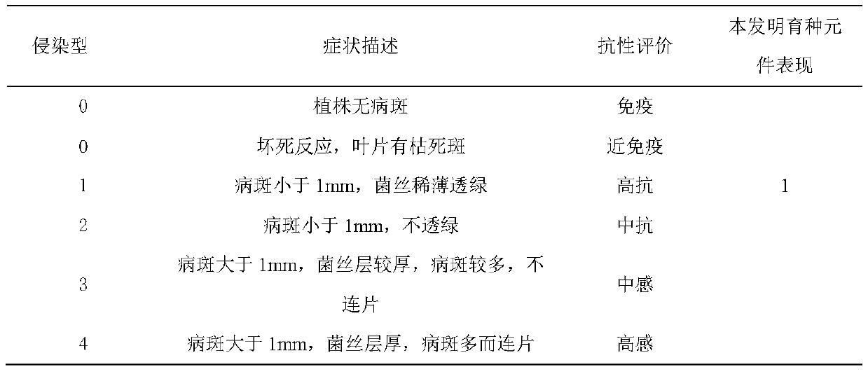 Method for creating breeding component of wheat lasting in resistance to powdery mildew based on multi-gene pyramiding