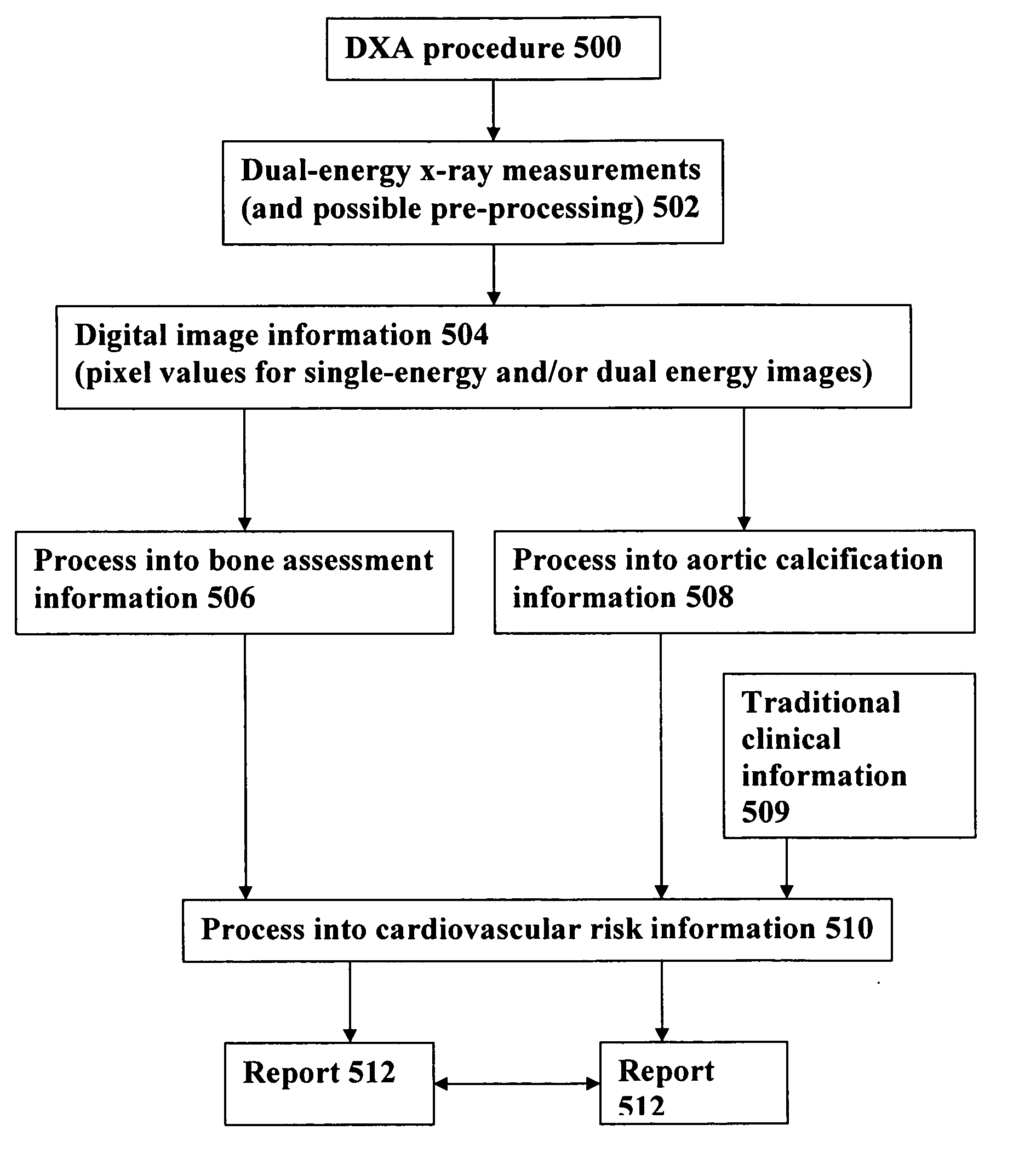 Cardiovascular risk assessments using aortic calcification information derived from x-ray measurements taken with a dual energy x-ray densitometer