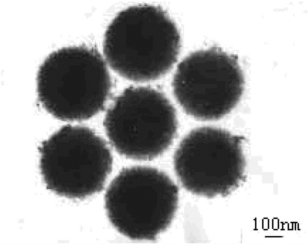 Magnetic core-shell Fenton-type catalyst, and preparation method and application of catalyst