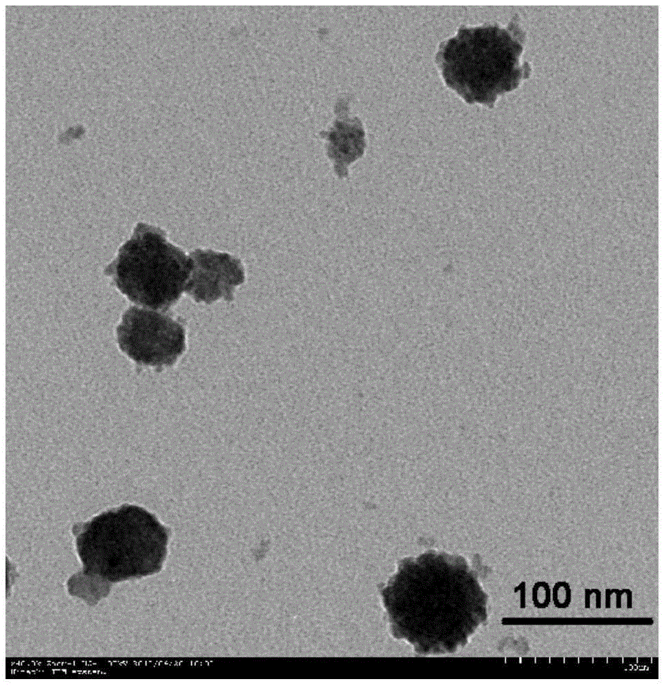 A novel hybrid nano calcium phosphate gene delivery system and its preparation method