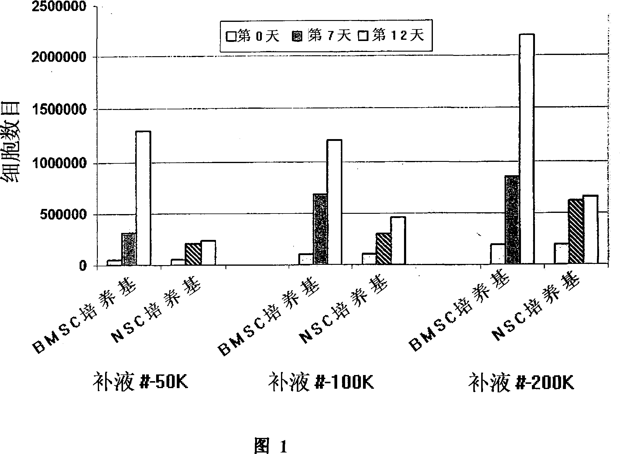 Compositions and methods to culturing neural stem cells with bone marrow stromal cells