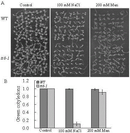 New application of Arabidopsis at4g09820 gene in plant salt tolerance