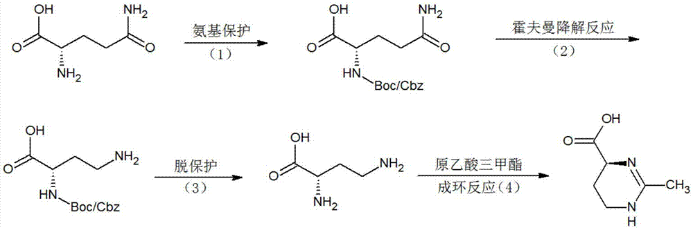 (S)-2-methyl-1,4,5,6-tetrahydromethylpyrimidine-4-carboxylic acid synthesis method