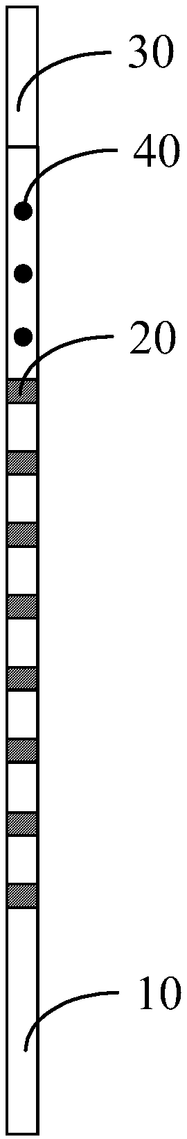 Angiography catheter and size measuring method