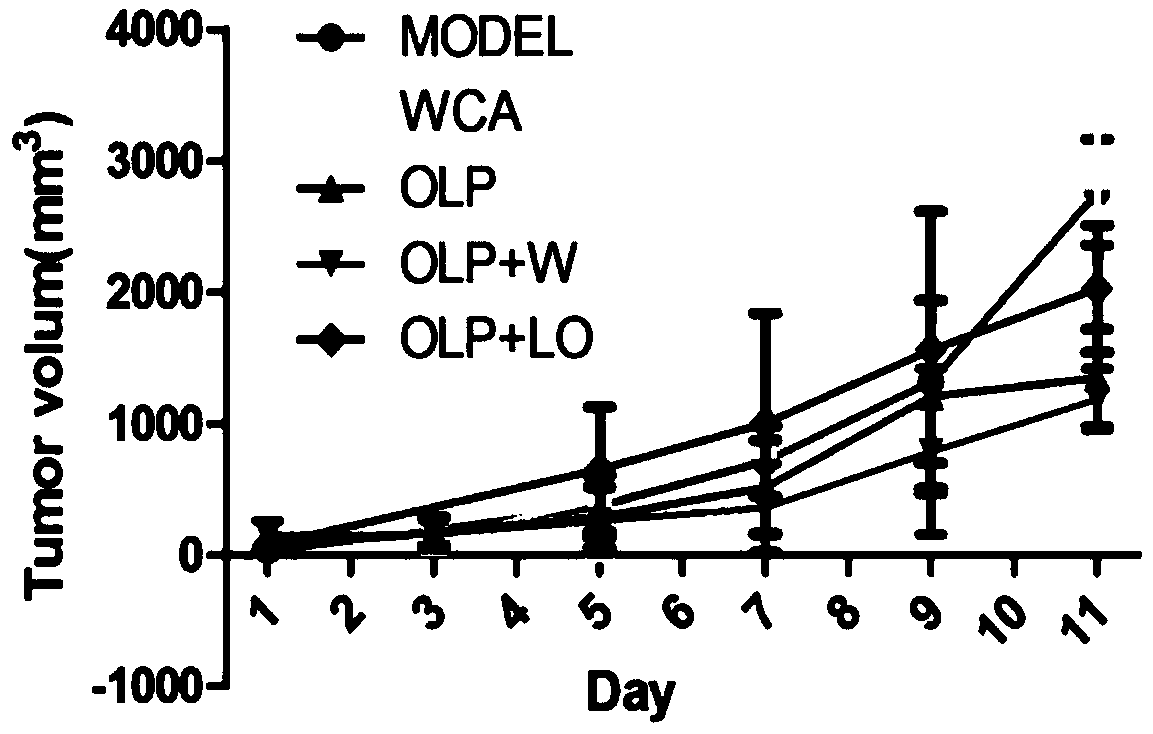 Application of pharmaceutical combined preparation and traditional Chinese medicine composition in preparation of chemotherapeutic drug synergistic attenuated agent