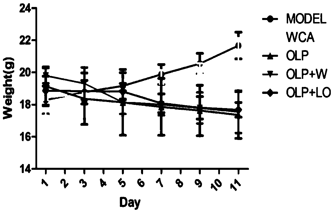 Application of pharmaceutical combined preparation and traditional Chinese medicine composition in preparation of chemotherapeutic drug synergistic attenuated agent