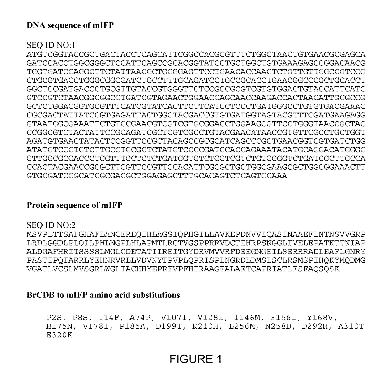 Monomeric and bright infrared fluorescent proteins