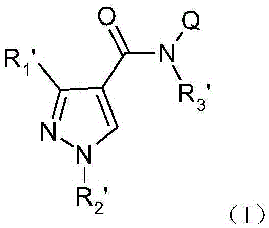 Pyrazole amide derivatives, preparation method and application thereof