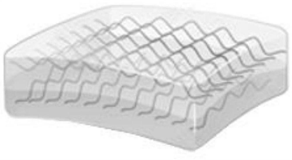 Penis albuginea repairing patch with double-layer structure and preparation method thereof