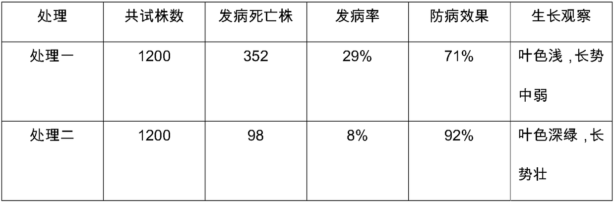 Microorganism seedling substrate for preventing soil-borne diseases and preparing method of substrate