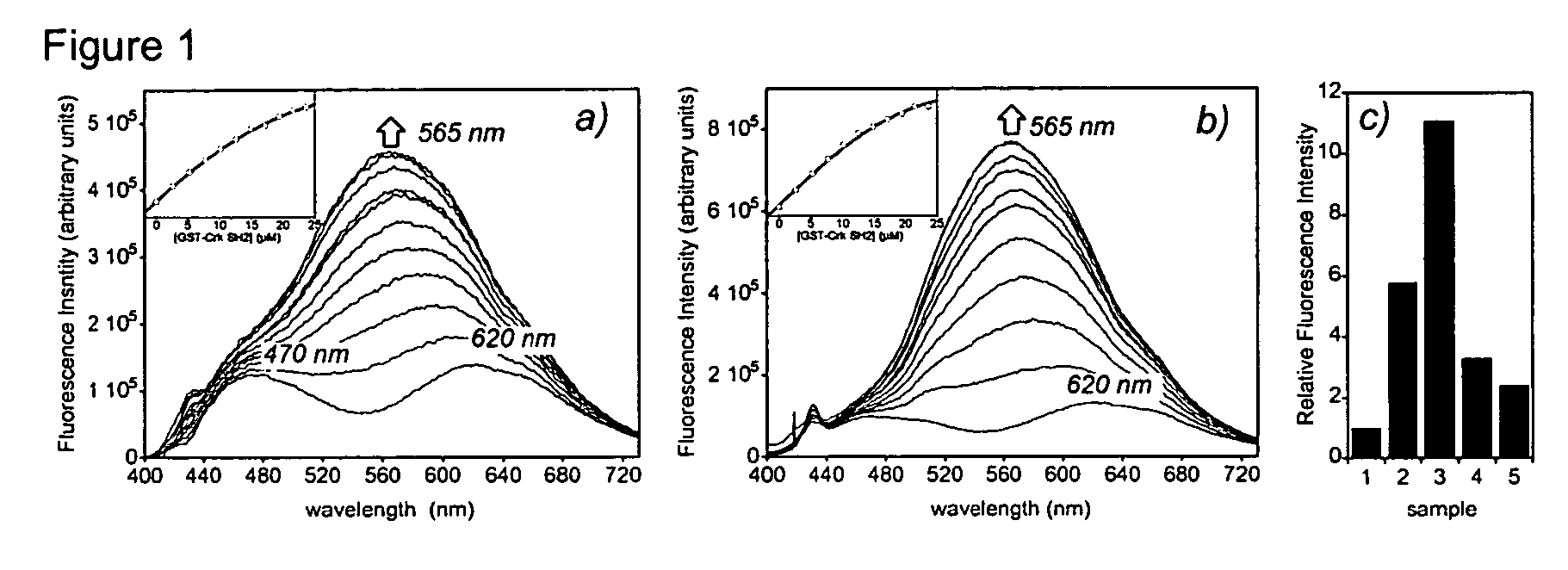 Fluorescent probes for biological studies