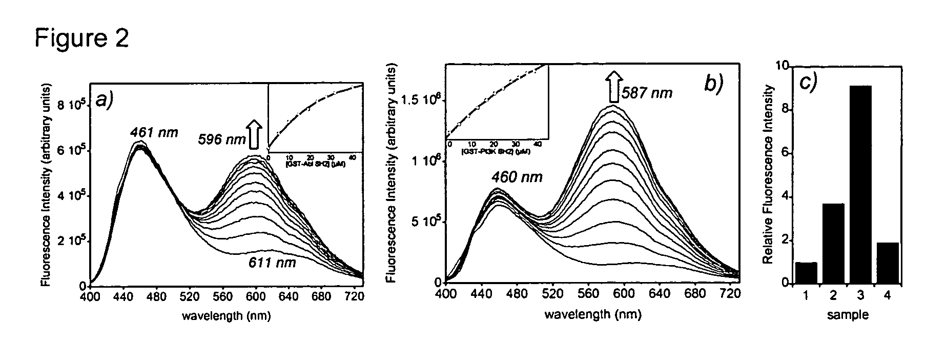 Fluorescent probes for biological studies