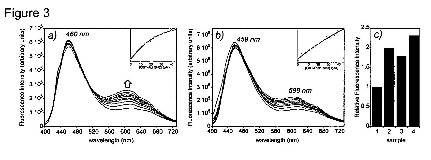 Fluorescent probes for biological studies