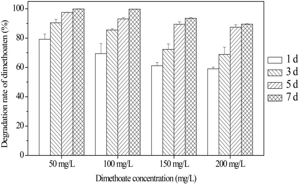 Lysinibacillus macroides capable of enriching phosphorus and degrading organophosphorus pesticides and application of lysinibacillus macroides