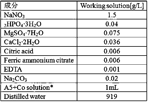 Lipid-rich chlorella and culture application thereof